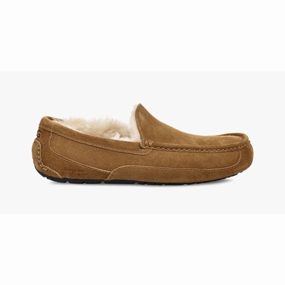 Chinelos UGG Ascot Homem Marrom | PT-IRQNP